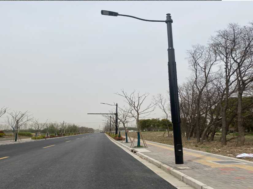 兴城市上海综合杆 太阳能路灯工程